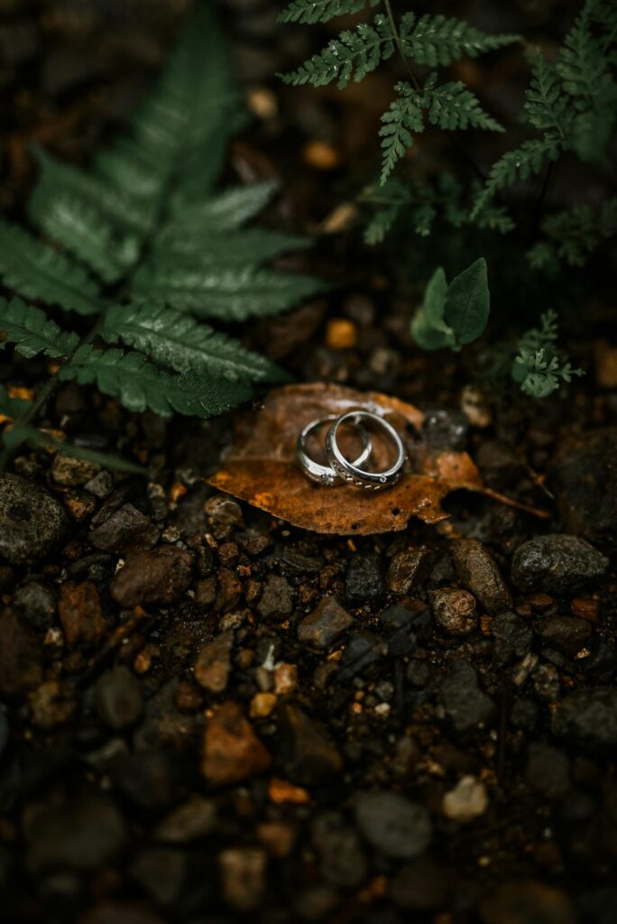 Sun-Kissed Rings - Image 2